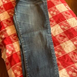 Ag Adriano Goldschmied Blue Skinny Jeans